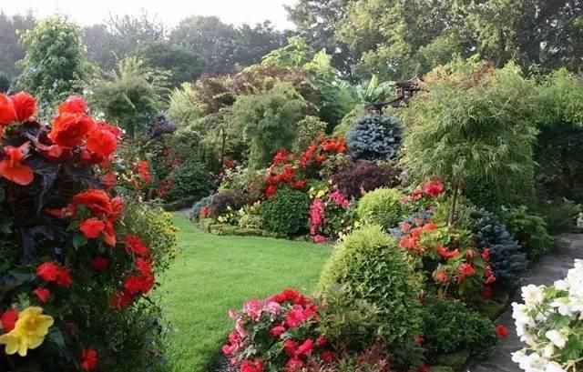  绝美|7旬夫妻用27年建绝美花园，全球花友慕名来“探花”