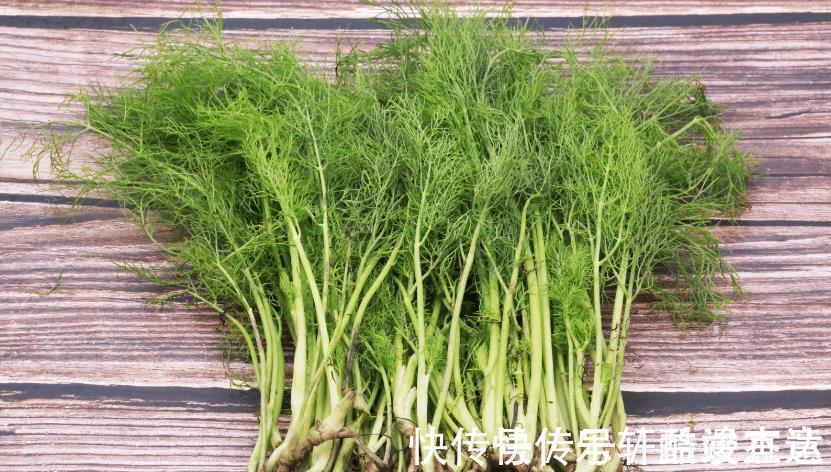 包肉饺子|包肉饺子配什么菜不用韭菜，用这个菜最合适，饺子喷香好吃