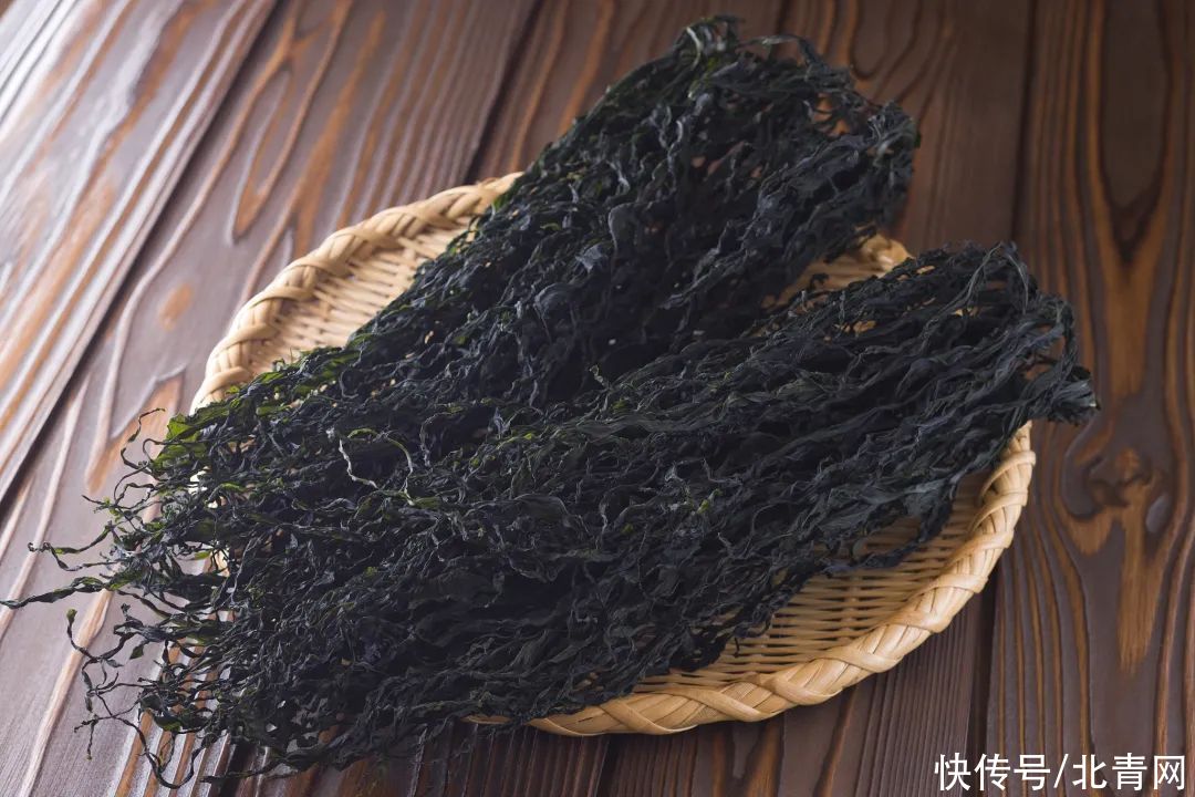 海藻|裙带菜和海带有啥区别？哪个营养更丰富？别再傻傻分不清了
