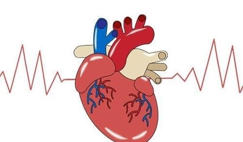 心率|60岁后，血压和心率的正常范围应该是多少？也许和你想的不一样