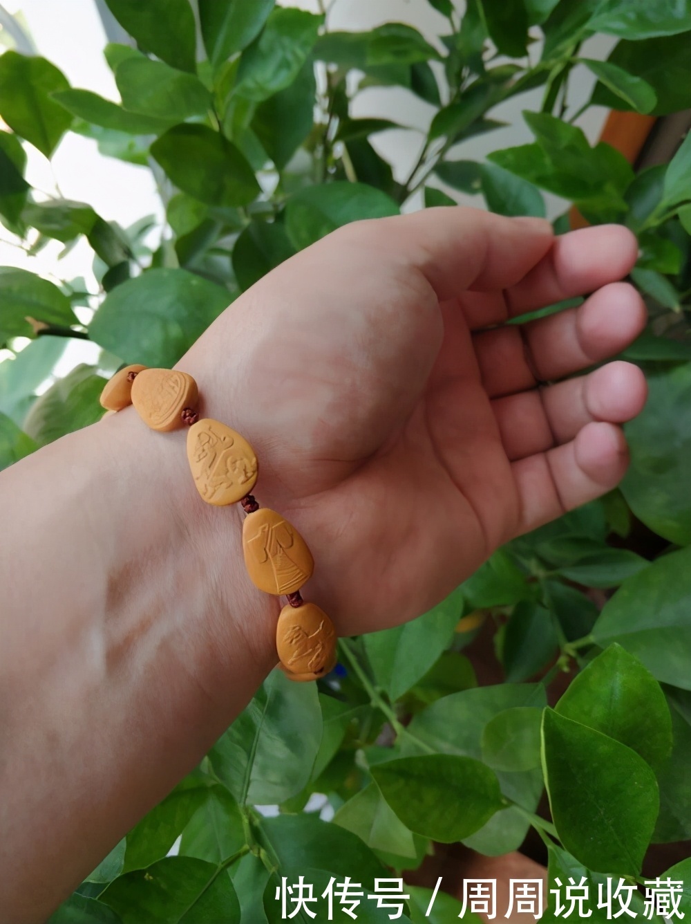  文玩|给和大家分享几种相当值得盘玩的小众文玩