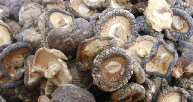 半纤维素|香菇和此物是天生的敌人，不能一起食用，现在知道还来得及