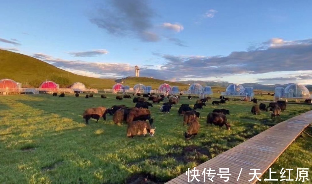 川西高原|抖音人气民宿——红原牧星空野奢民宿，重新定义生活的美好