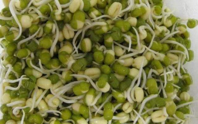 豌豆|湿气的“冤家”被发现了,夏天常吃4种食物,或助你排出体内湿气