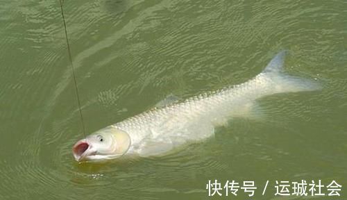 钓鱼|钓具选择“坑”很多,这些华而不实的钓具,多数没啥用!