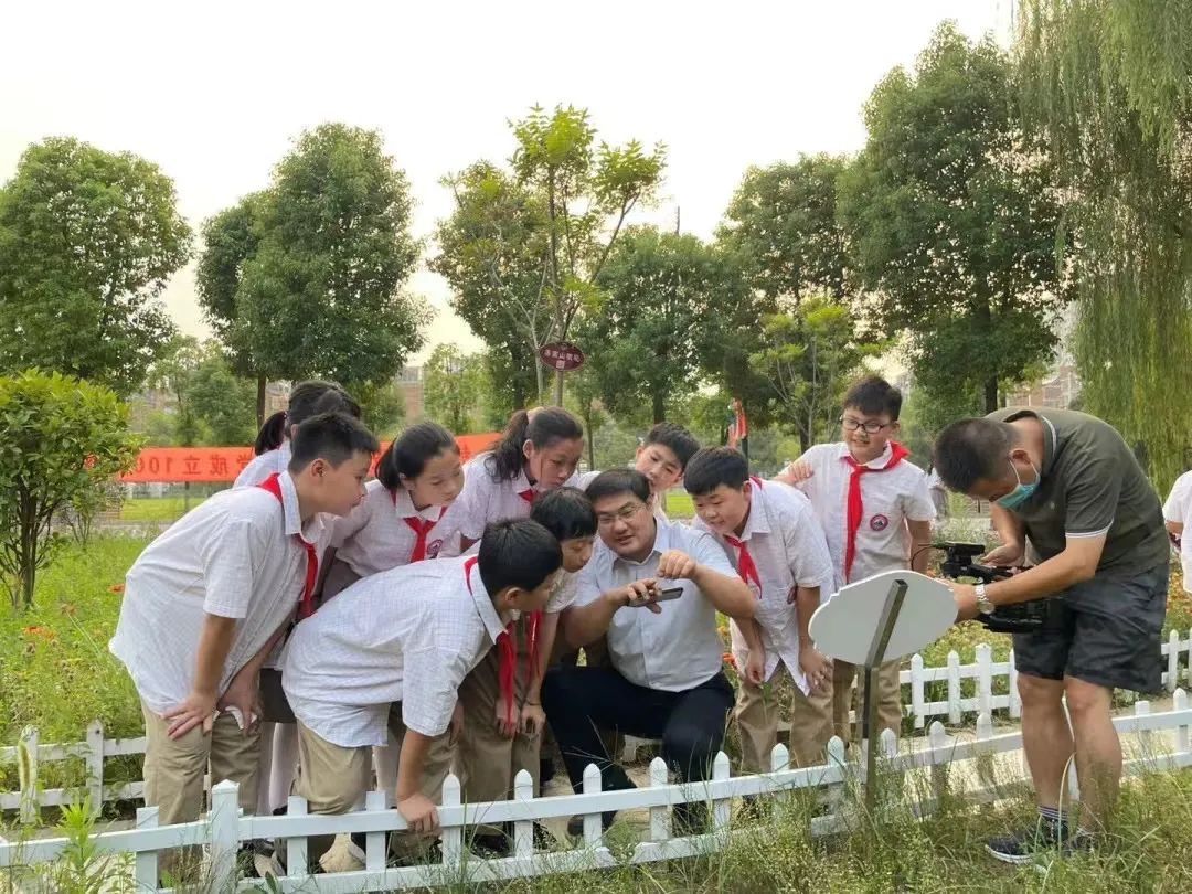 仁术|实事项目“晒一晒”:中医药服务进万家,岐黄仁术惠民生