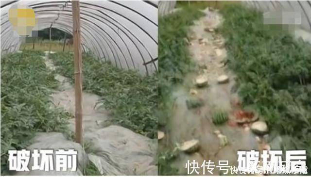 儿子|儿子抢别人鸡排吃,妈妈一旁帮腔护短,女孩的回答让妈妈后背发凉