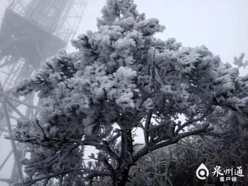 迎来|-2℃！九仙山迎来今冬首场雨雾凇！