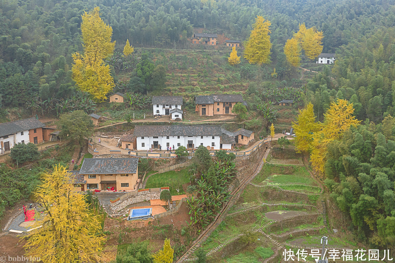 古村|号称今年最后一片银杏叶？大雪节气的高岭宿集，古村尽带黄金甲