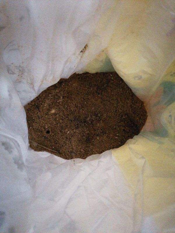 换盆后的旧土别扔，掺上4种东西，土肥得“流油”