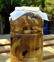 秋天准备“抗冻肥”,给君子兰、蟹爪兰“喂上”,长得旺、开花多