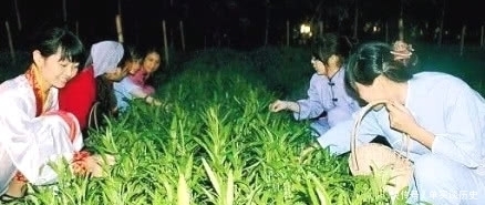 赏月|古人中秋赏月,到底在赏些什么?说说人和月亮的不解之缘