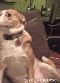 |搞笑GIF:人山人海, 挤公交或者挤地铁都有这种感觉