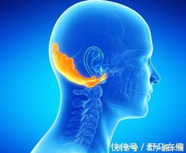 握力|50岁是寿命“决定期”,此时身体还有5个表现,是长寿征兆