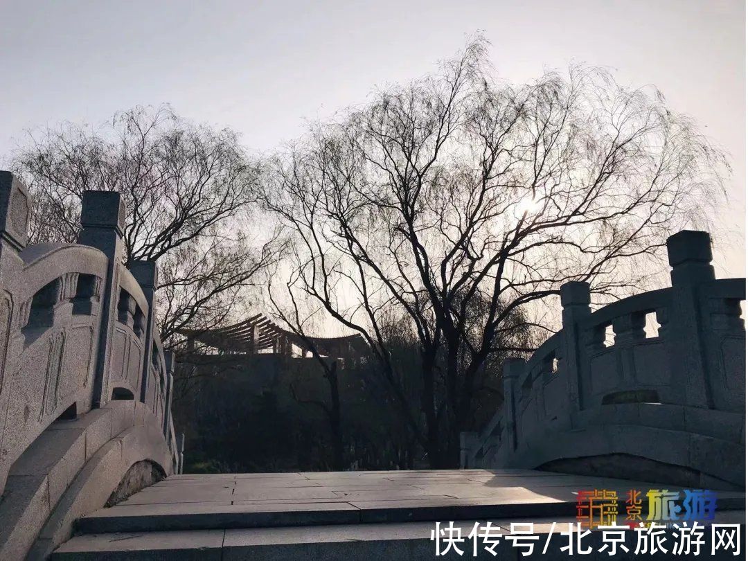 冬景|迎颜值巅峰！京城宝藏冬景实拍，昔日“两岸芦花一钓船”胜景再现~