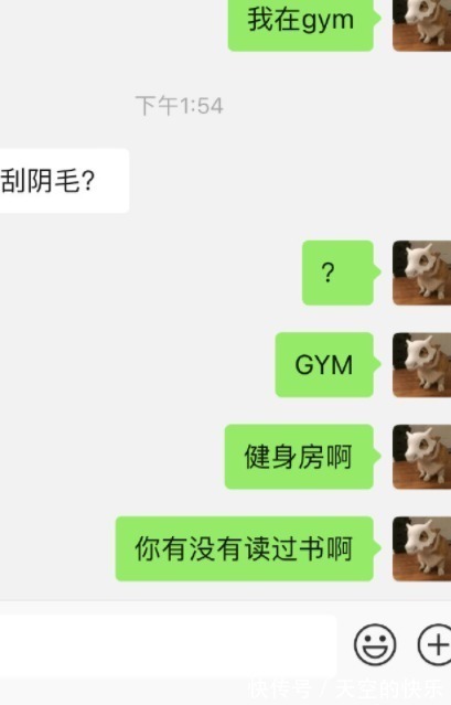 |搞笑GIF图片：下次这货再来理发千万别让他进门