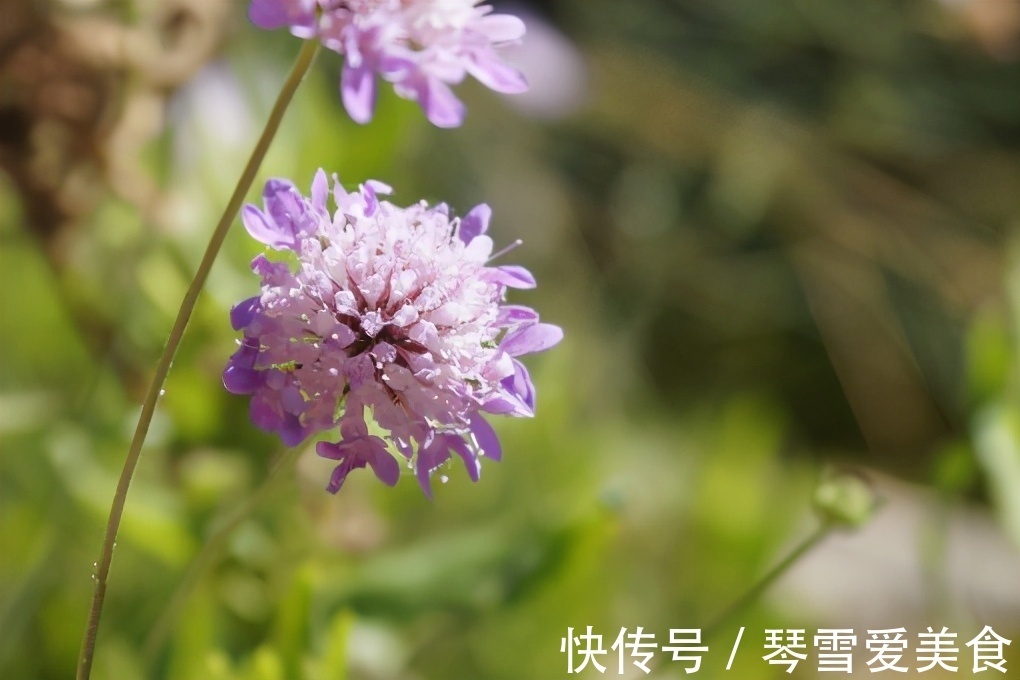 大姨|儿女成家后,和亲家相处做到2点就够了,很重要