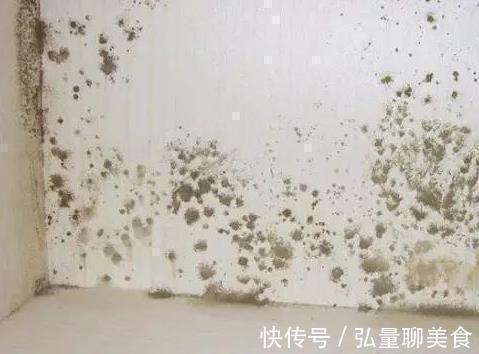 酒精|家里墙壁发霉别再傻傻花钱重刷，聪明人教你一招，省钱又好用