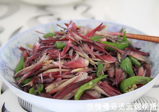 感冒|立秋后，咳嗽感冒不间断，莫慌！常食此野菜，咳嗽不咳，治感冒