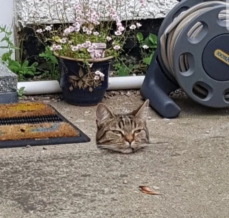 拍摄@16张被无数人怀疑经过“PS”的照片,但它们都是真实的