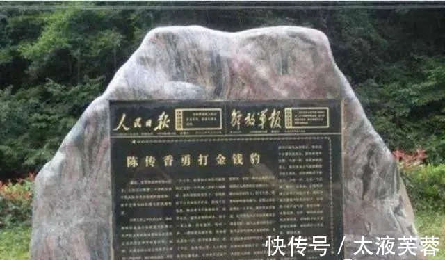 采访@19岁女子徒手打死豹子,在晚年采访中袒露后悔:宁愿自己从未打死