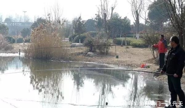 闲聊没有水草等障碍物的亮水区,如何使用传统钓法作钓