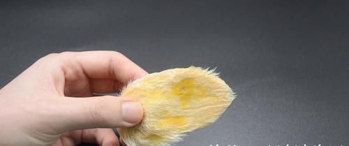 芒果核扔掉可惜了，这个用途懂的人还不多，早点知道就好了