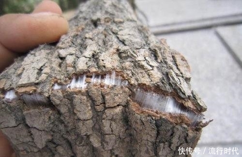 肾好的人,腰上有2个“喜报”,3水多喝,养肾强肾