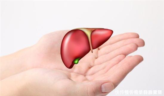 皮肤过敏|皮肤出现四种异常，别傻傻的认为是皮肤过敏，有可能是肝病的前兆