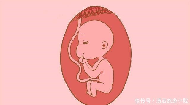 胎儿|做四维时胎儿在肚子里会做这几件坏事，让孕妈又开心又担心