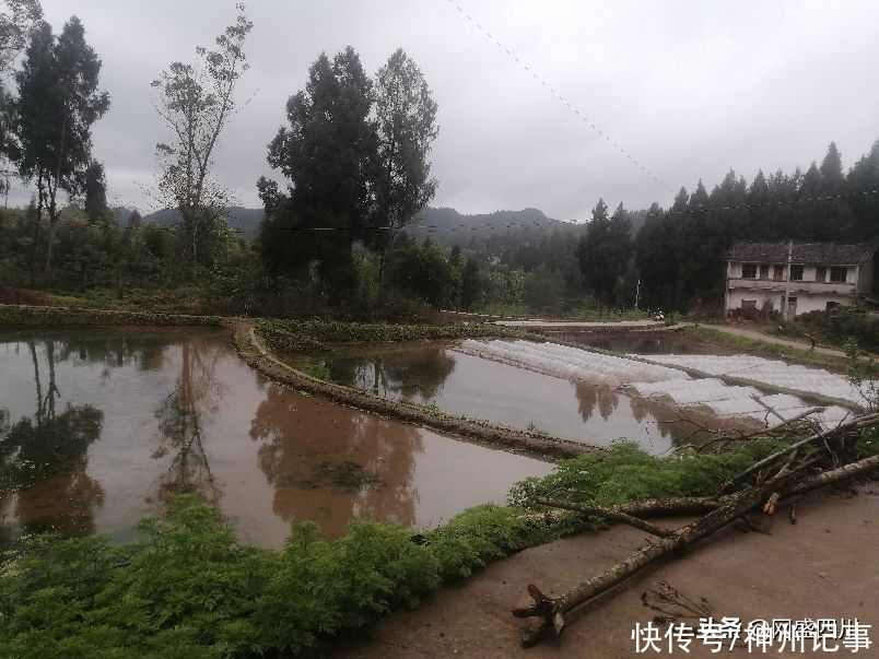 清明，在祭祖的路上看风景（二）