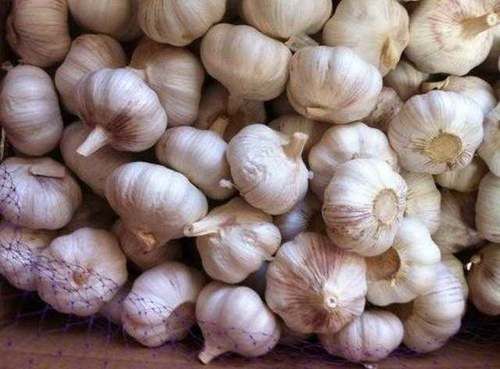 今天才知道,保存大蒜如此简单,放多久都行,再也不怕大蒜长芽了