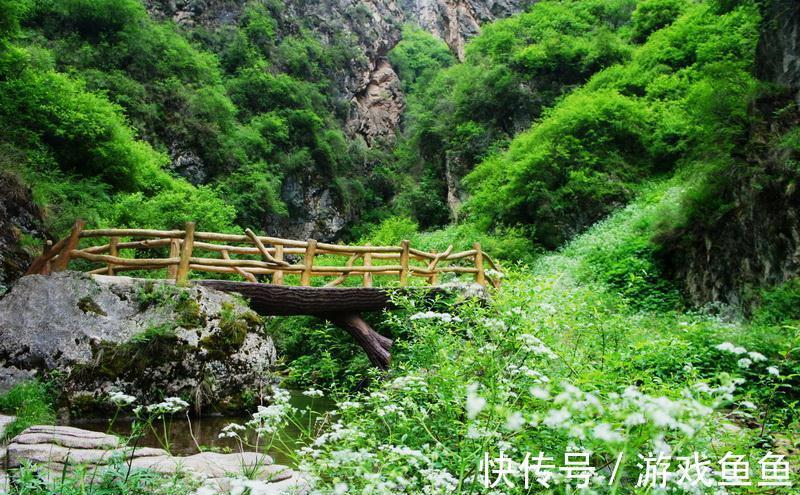 避暑胜地|定西一冷门山区，植被茂密为避暑胜地，名气小游客少形成幽静空间