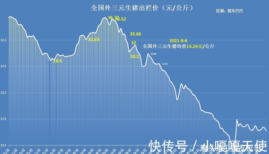 答案|明日立秋!猪价“4连绿”,贴秋膘能否支撑猪价上涨?答案来了!