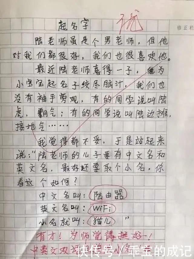 大概就|小学生作文《热死了》火了，通篇都是梗，老师我拜你为师吧