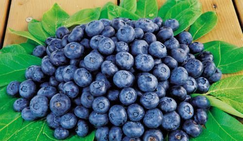 女性不想被叫“老女人”,多吃5种食物,补血养颜,越吃越年轻