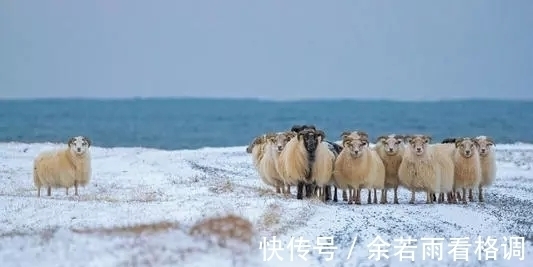 15个令人惊奇的冷知识,“纸上谈兵”的赵括一辈子没见过纸