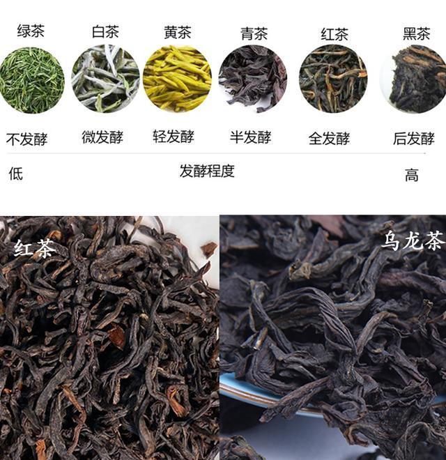 问了10个人9个都错了，大红袍不是红茶你知道吗