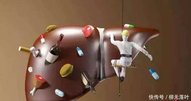 红酒|白酒、红酒、啤酒,哪种酒对肝脏伤害最大答案或许“出人意料”