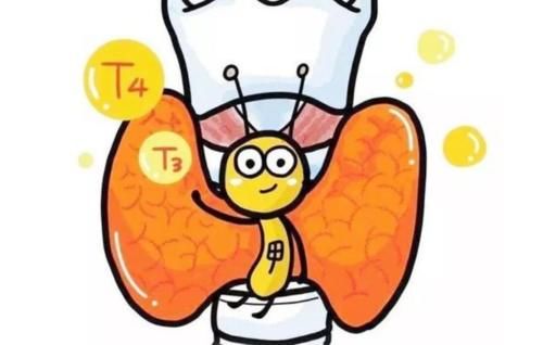 有甲狀腺結節的中老年人，這幾個行為要杜絕，別讓問題更復雜
