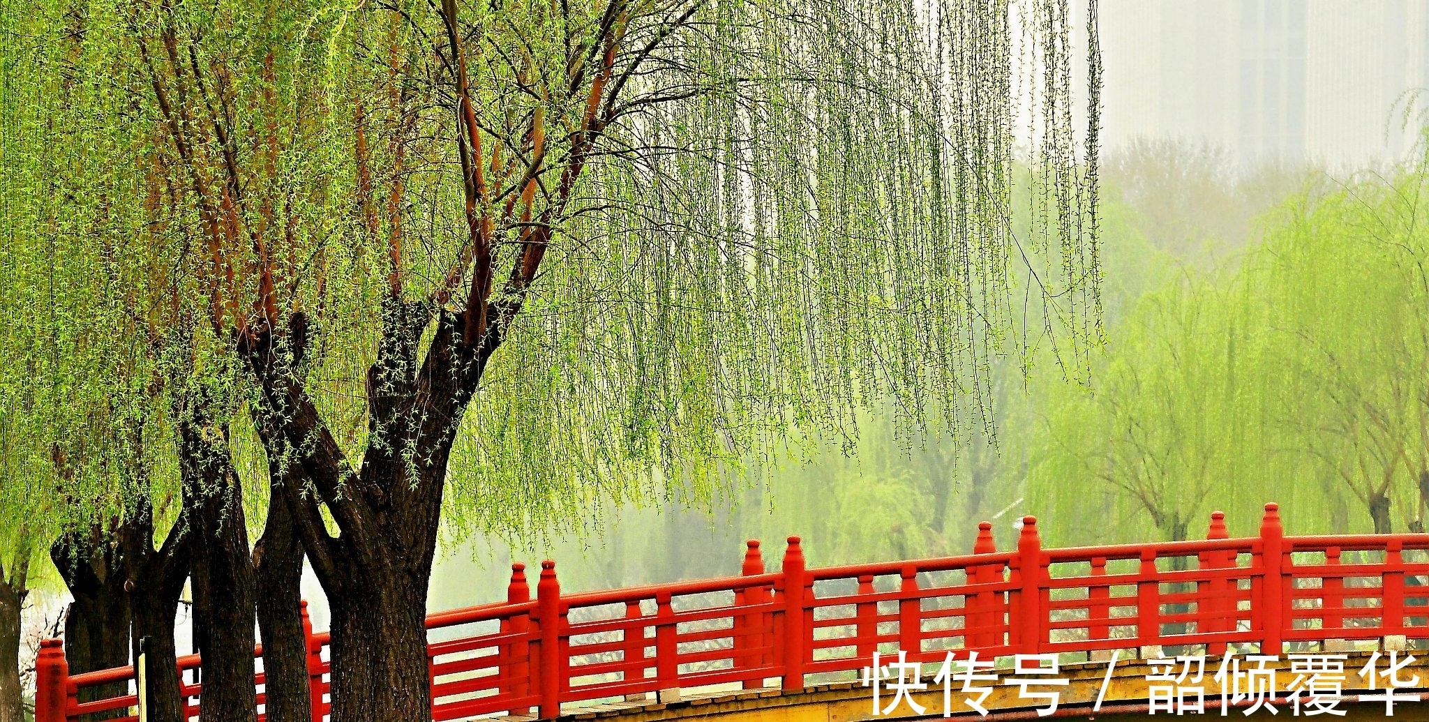 春风$还家五度见春容。杨万里晚年辞官归隐后写的一首早春诗,值得欣赏