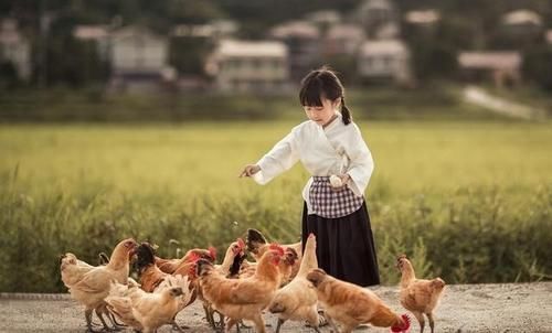 王安石|喌,这个字你认识吗?这个字虽然很生僻,可你却经常挂在嘴边