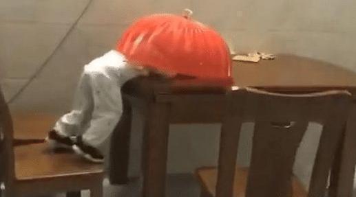 宝宝们|宝宝掩耳盗铃式偷吃火了!被抓包时还投入的吃着,网友:家贼难防