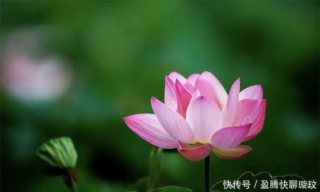 生活|大彻大悟的佛家禅语,人生哲理!