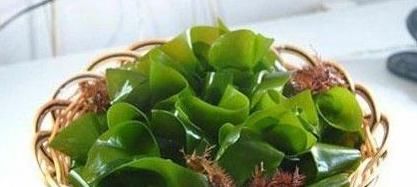 常吃|孩子发育的黄金期，常吃三种食物，健脑益智，视力越来越好