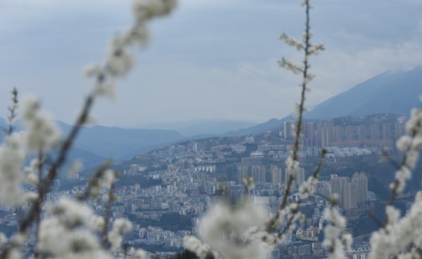 老年|视界网：重庆巫山 巫峡春正浓