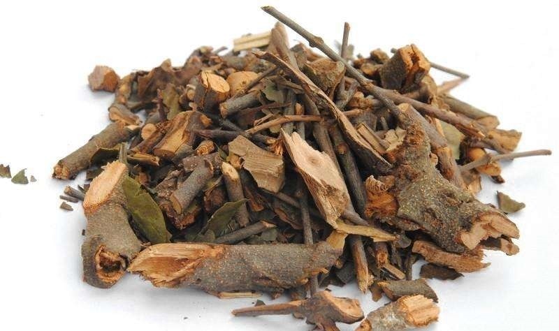 肝肾|一味“养腰椎”的中药!管腰抬不起、不敢动、没有劲,值得学习