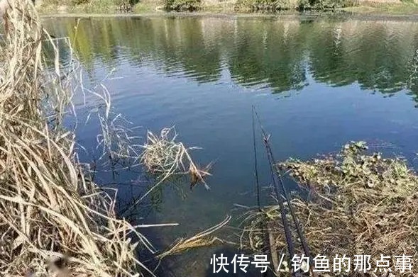 春钓鲫谨记5个“口诀”,60%的钓友都不知道,学会后拉到“手软”