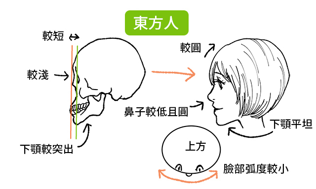  板绘鼻子详细画法干货详解！让人感到惊艳的鼻子绘製方法！