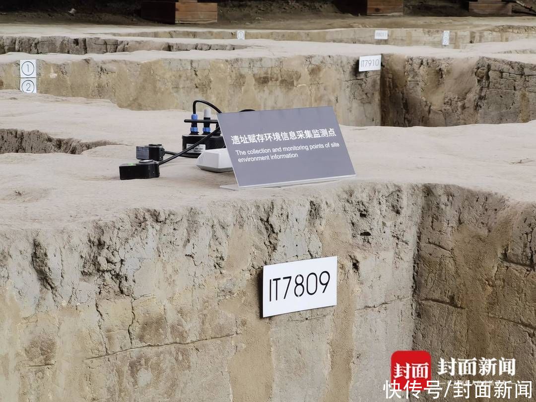 遗址|太阳神鸟牵手九色鹿，金沙敦煌攻克土遗址保护利用难关